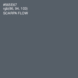 #565E67 - Scarpa Flow Color Image